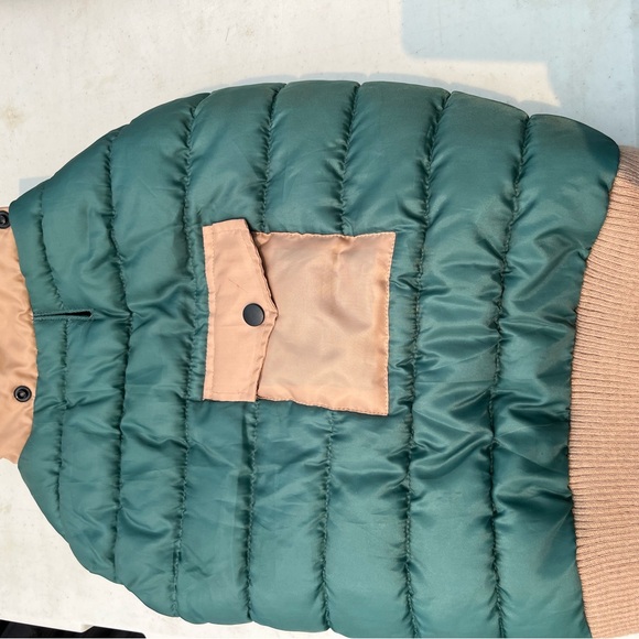 Dog Accessories - Picture 5 of 12